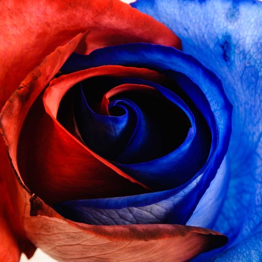 Blue and Red